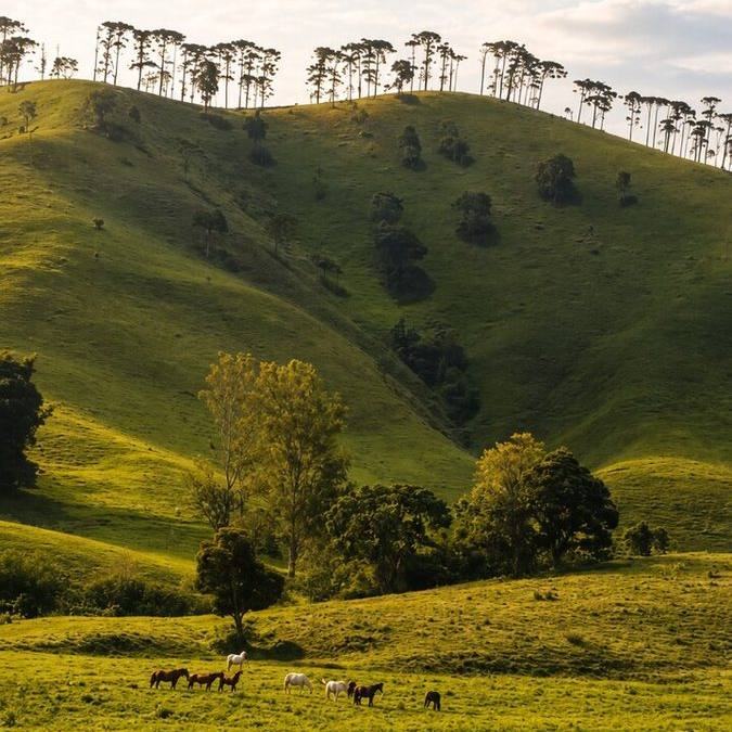 Montanha + Sítio